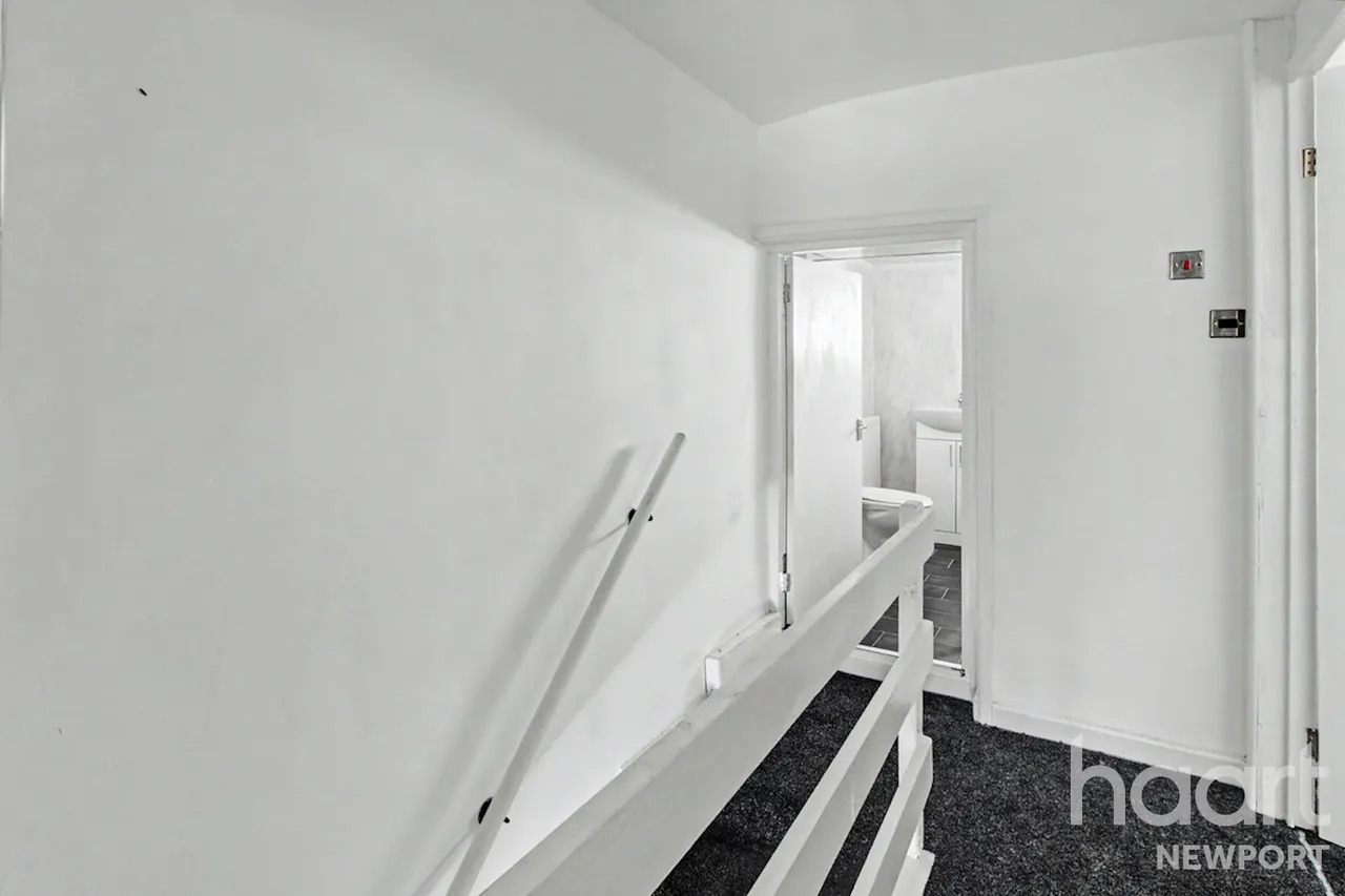 NP23, photo 15