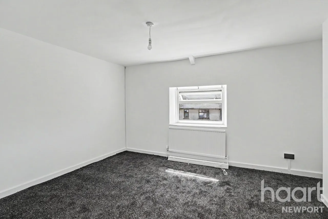 NP23, photo 10