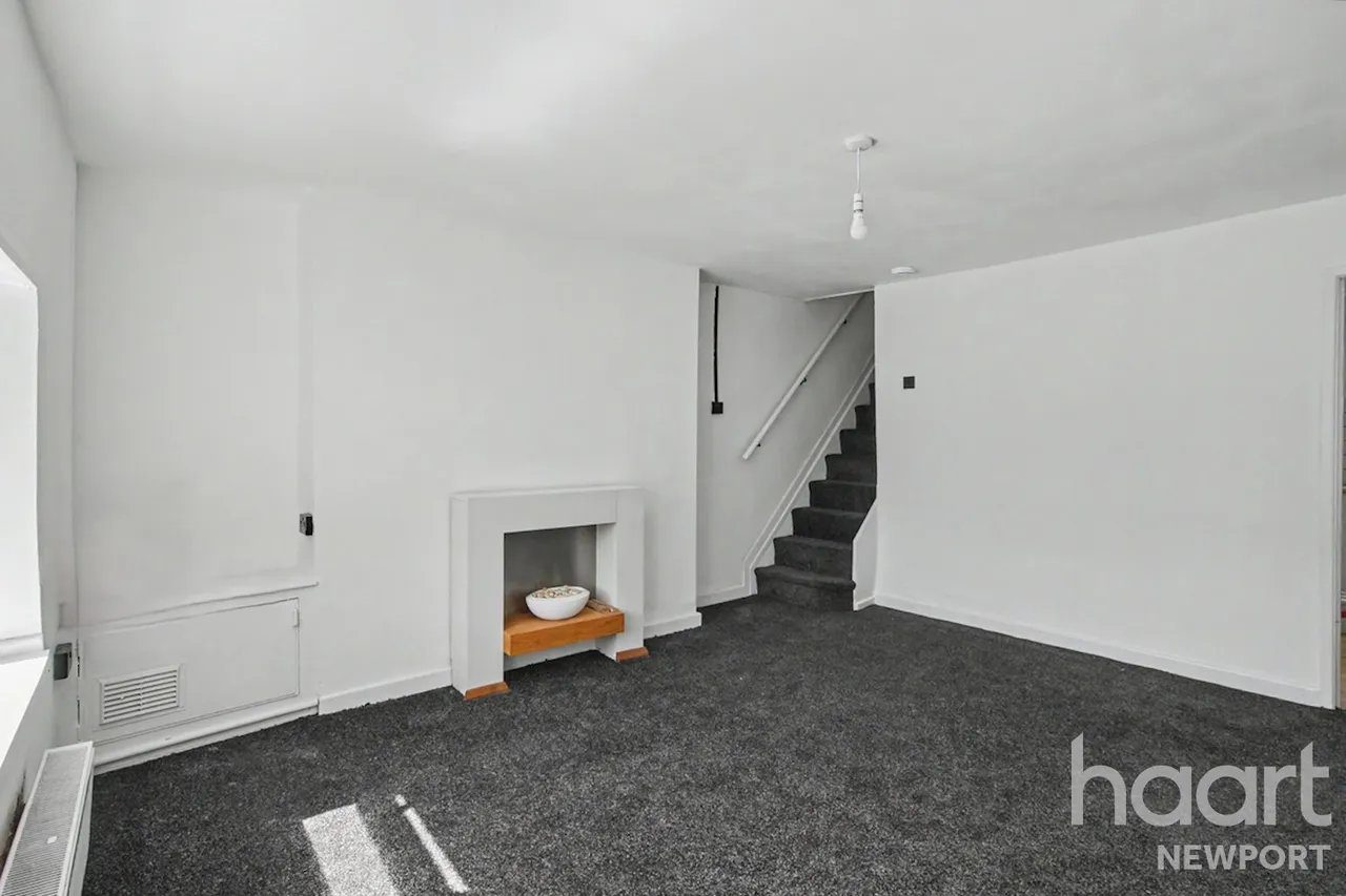NP23, photo 4
