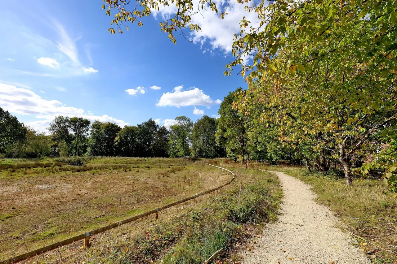 Kendrick Avenue, Wilton Park, HP9, photo 15