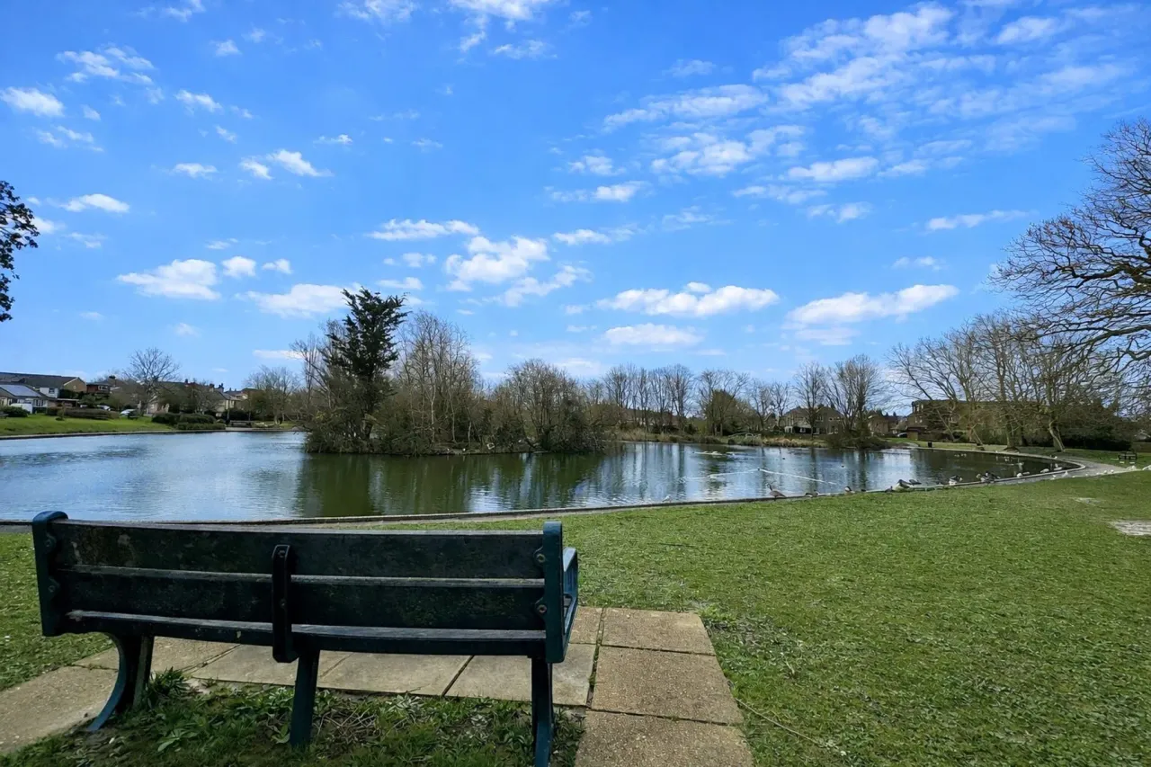 The Mount, Hailsham, East Sussex, BN27, photo 14