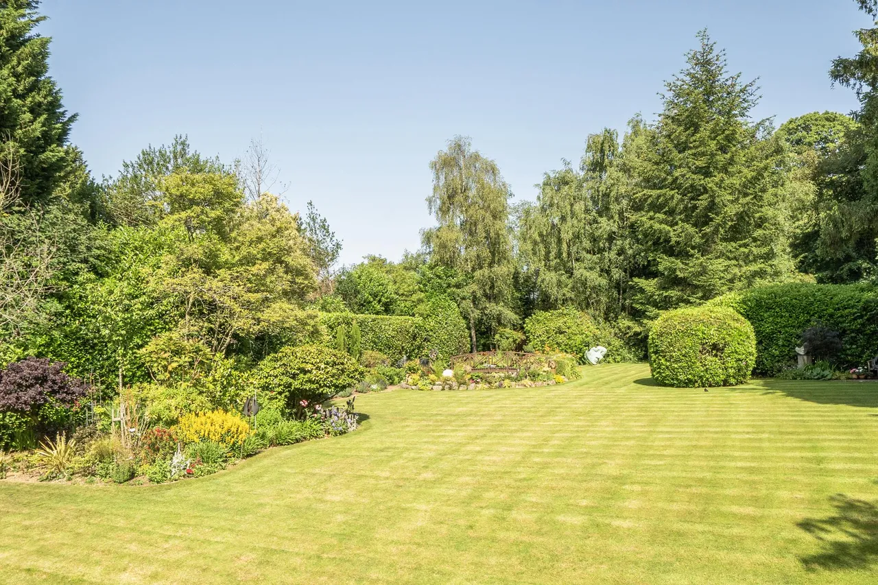 Beech Drive, Kingswood, KT20, photo 34