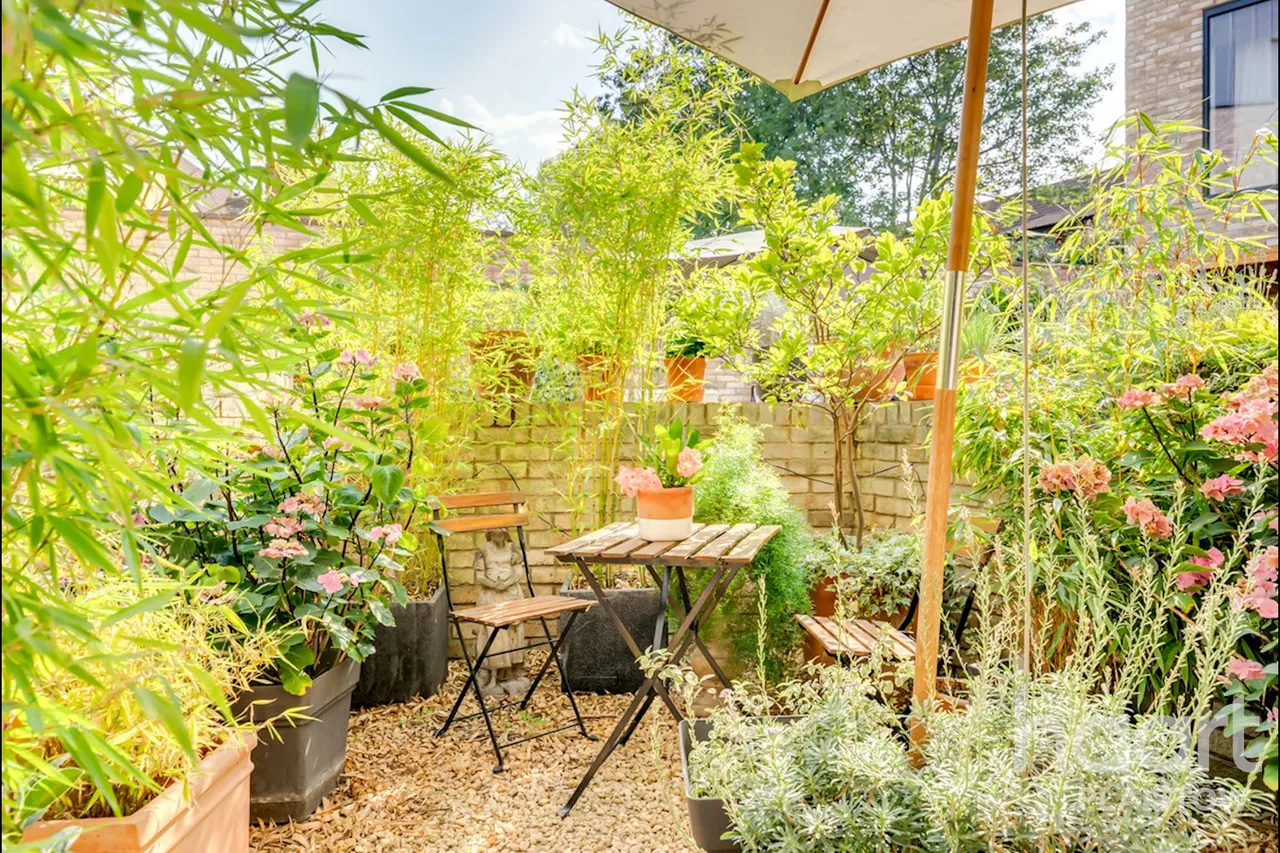 Duchess Drive, London, E13, photo 20