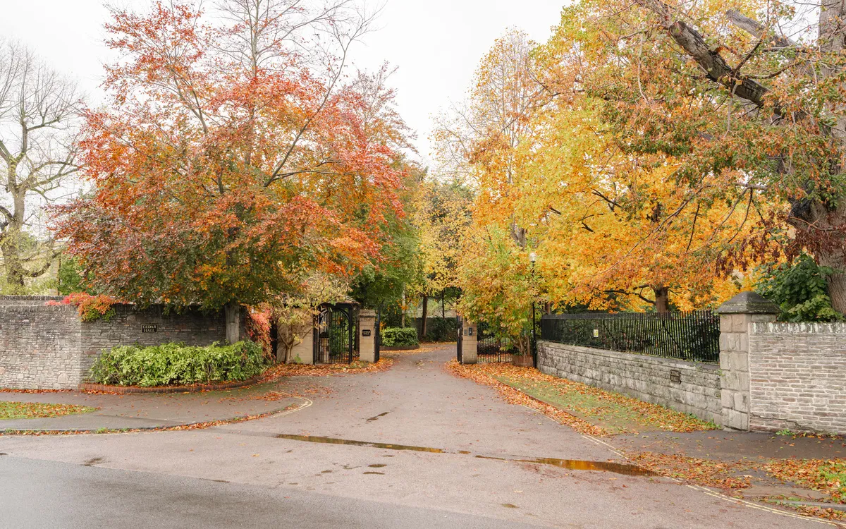 Cedar Hall, Frenchay, BS16, photo 4