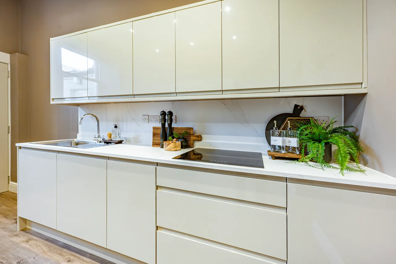 Annfield Place, Dennistoun, G31, photo 20