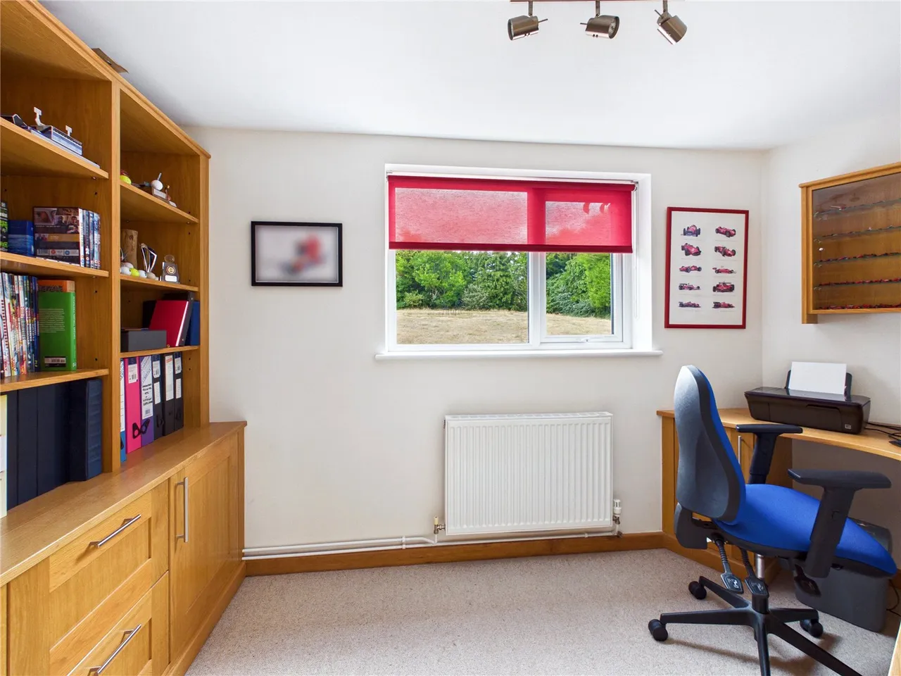 Dukes Park, Woodbridge, IP12, photo 9