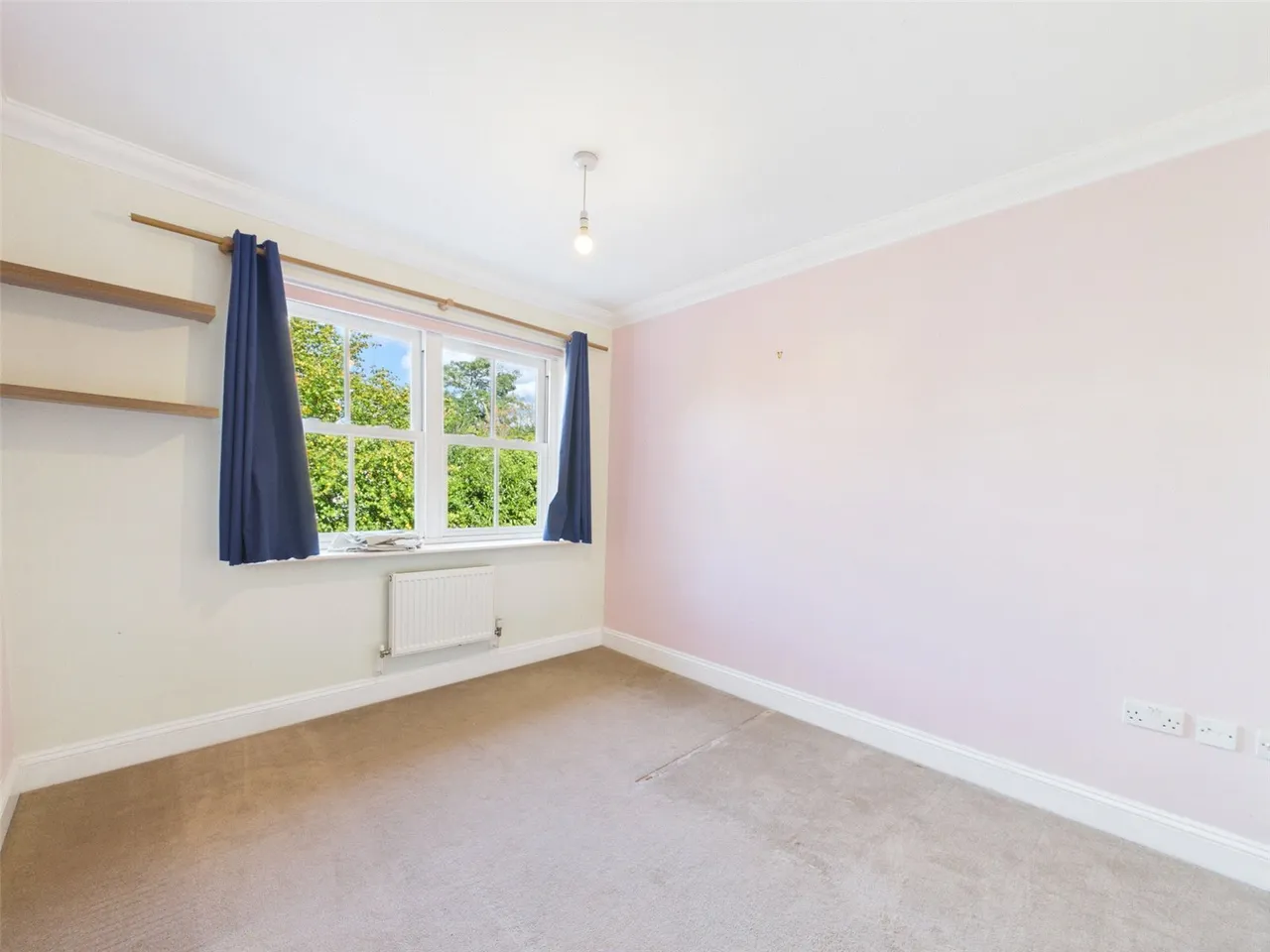 Hampton Road, Teddington, TW11, photo 8