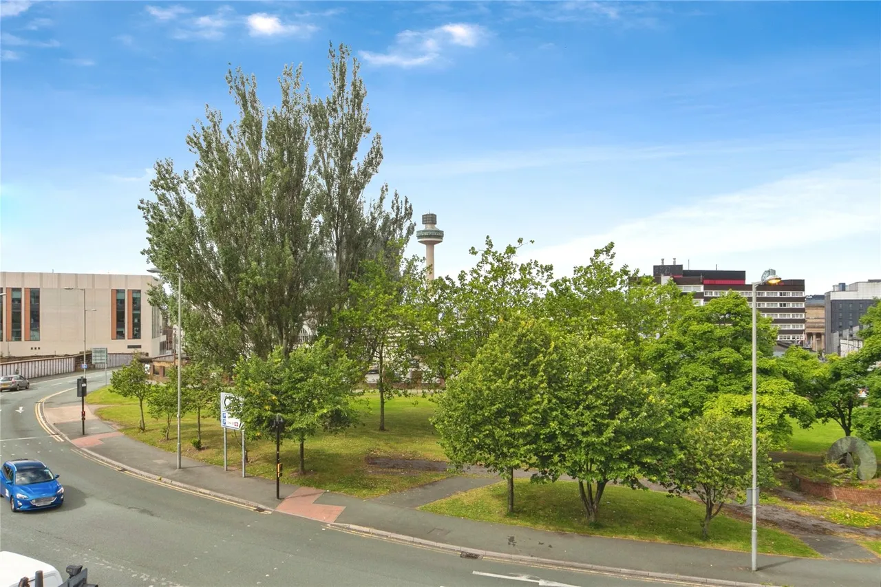 Seymour Street, Liverpool, L3, photo 17