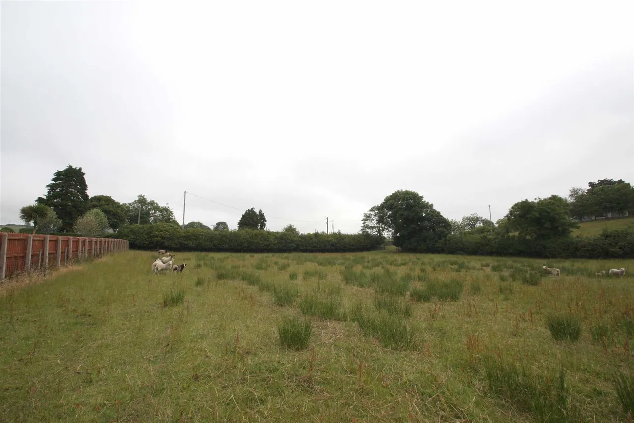 Downpatrick Road, Clough, BT30, photo 7