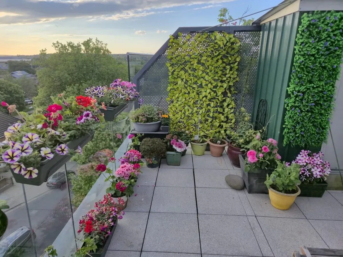 London, NW10, photo 12