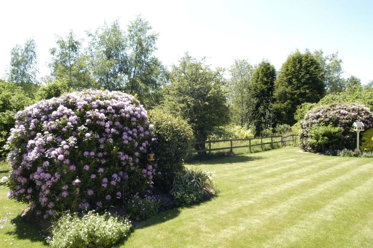 Crampmoor Lane, Crampmoor, Romsey, Hampshire, SO51 9AJ, photo 22