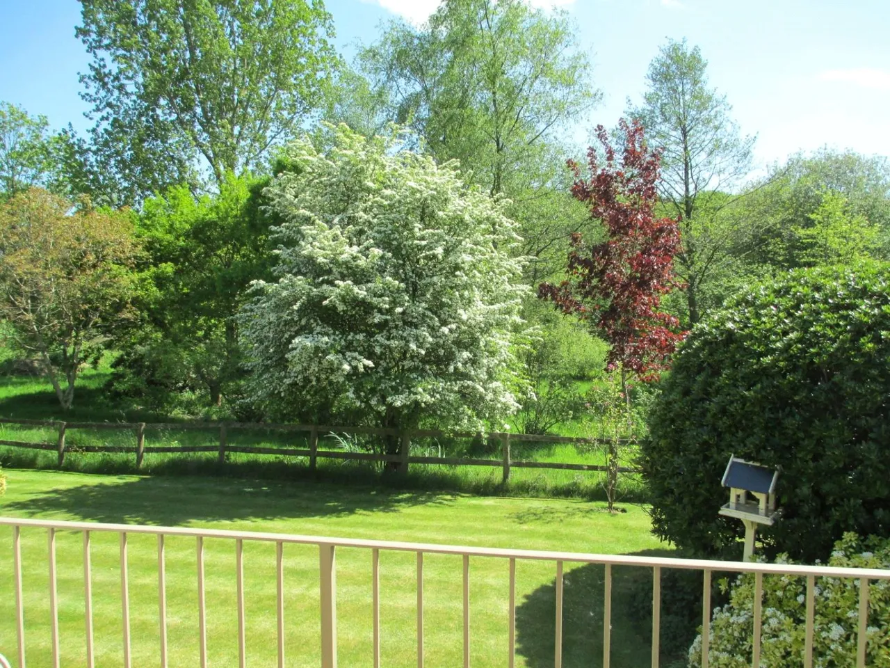 Crampmoor Lane, Crampmoor, Romsey, Hampshire, SO51 9AJ, photo 16