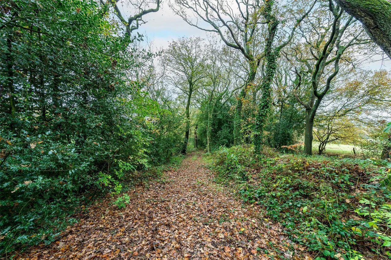 Sanderson Lane, Heskin, PR7, photo 30
