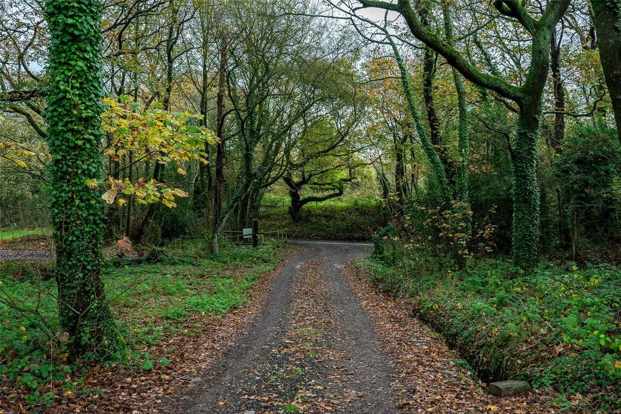 Sanderson Lane, Heskin, PR7, photo 10