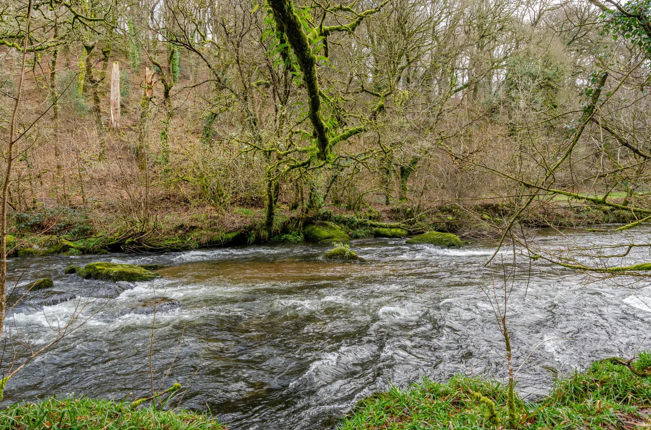 Dulverton, Somerset, photo 4