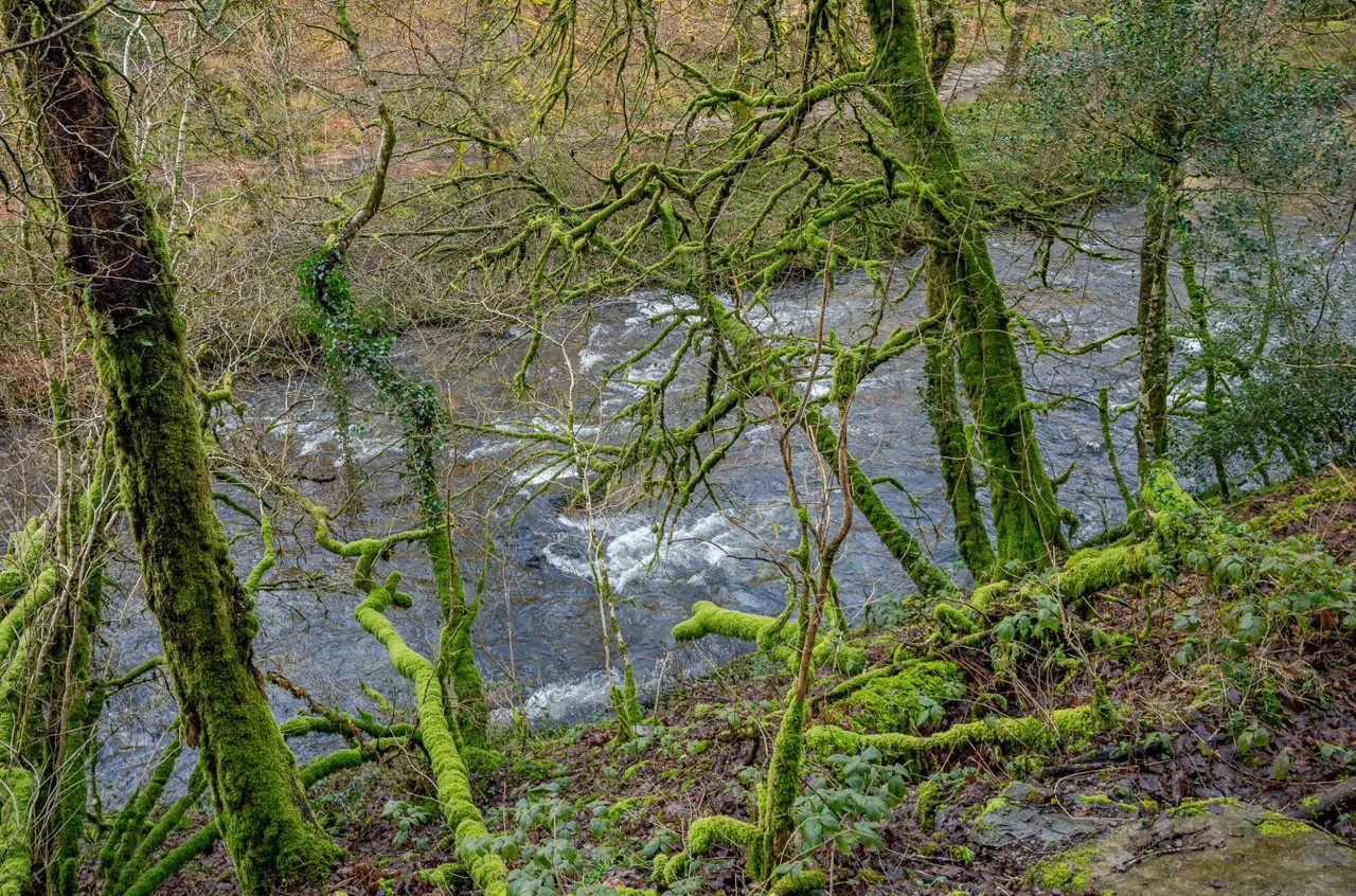 Dulverton, Somerset, photo 10