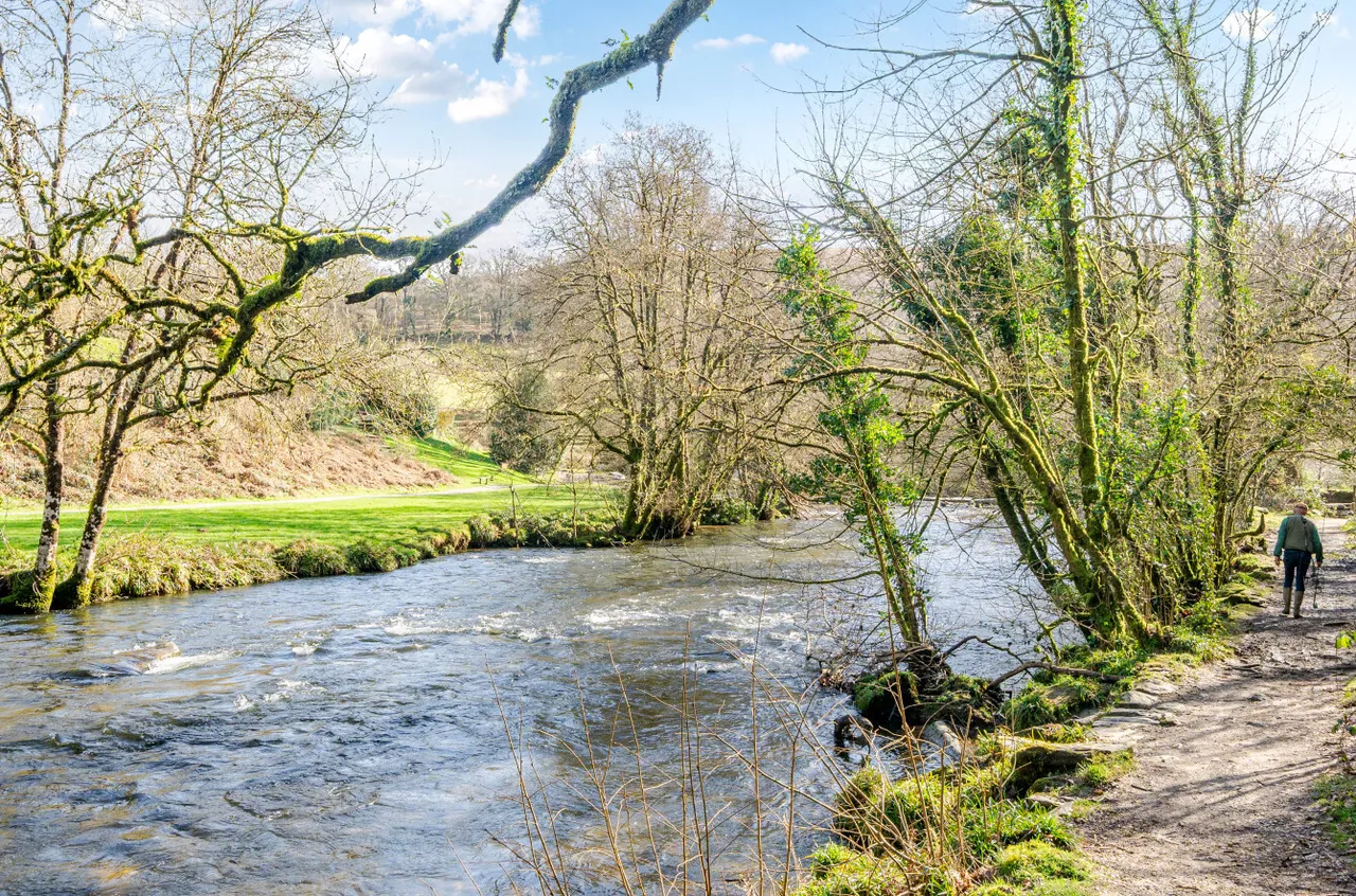 Dulverton, Somerset, photo 11