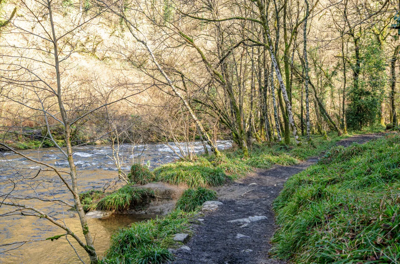 Dulverton, Somerset, photo 12