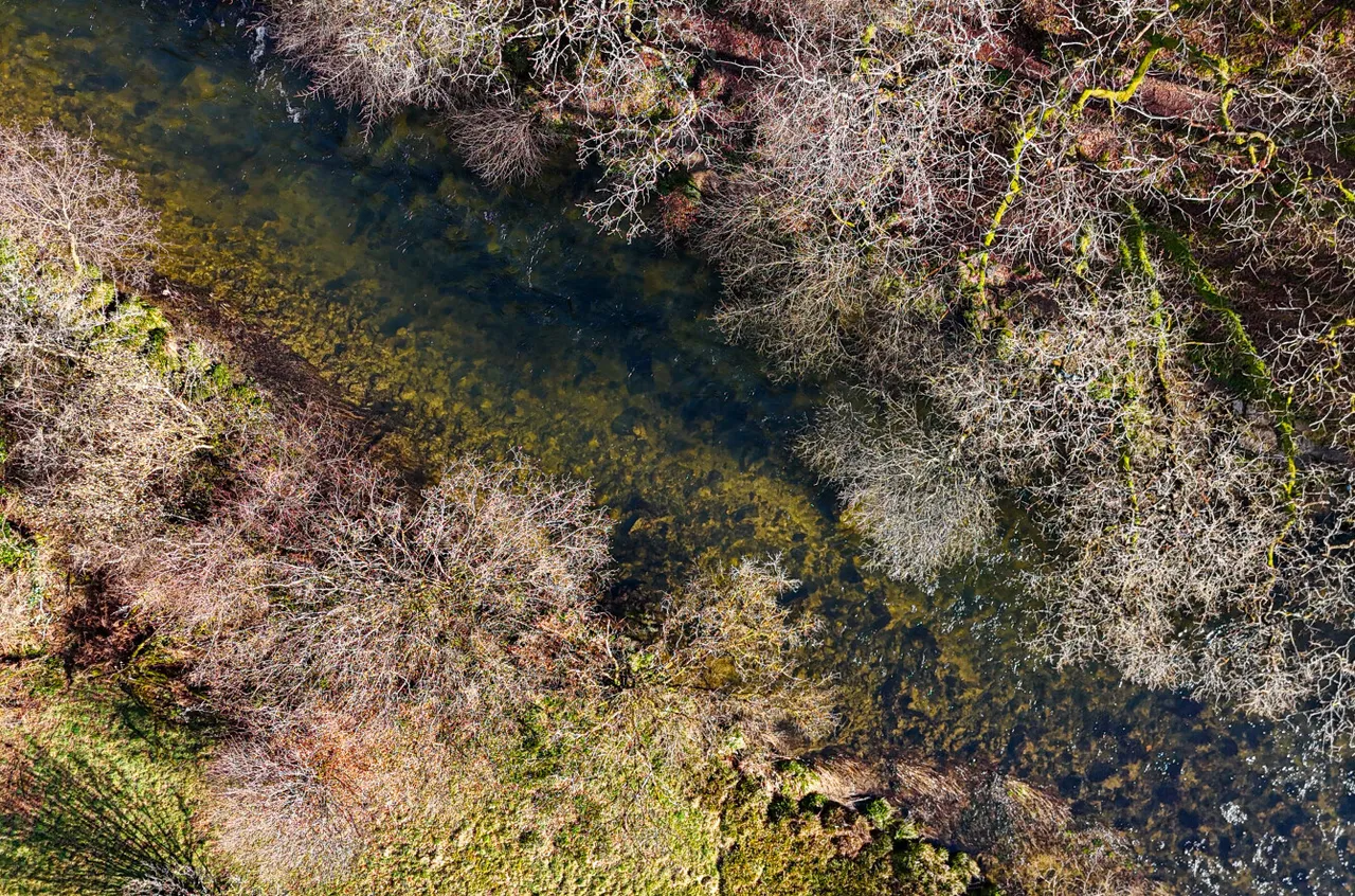 Dulverton, Somerset, photo 6