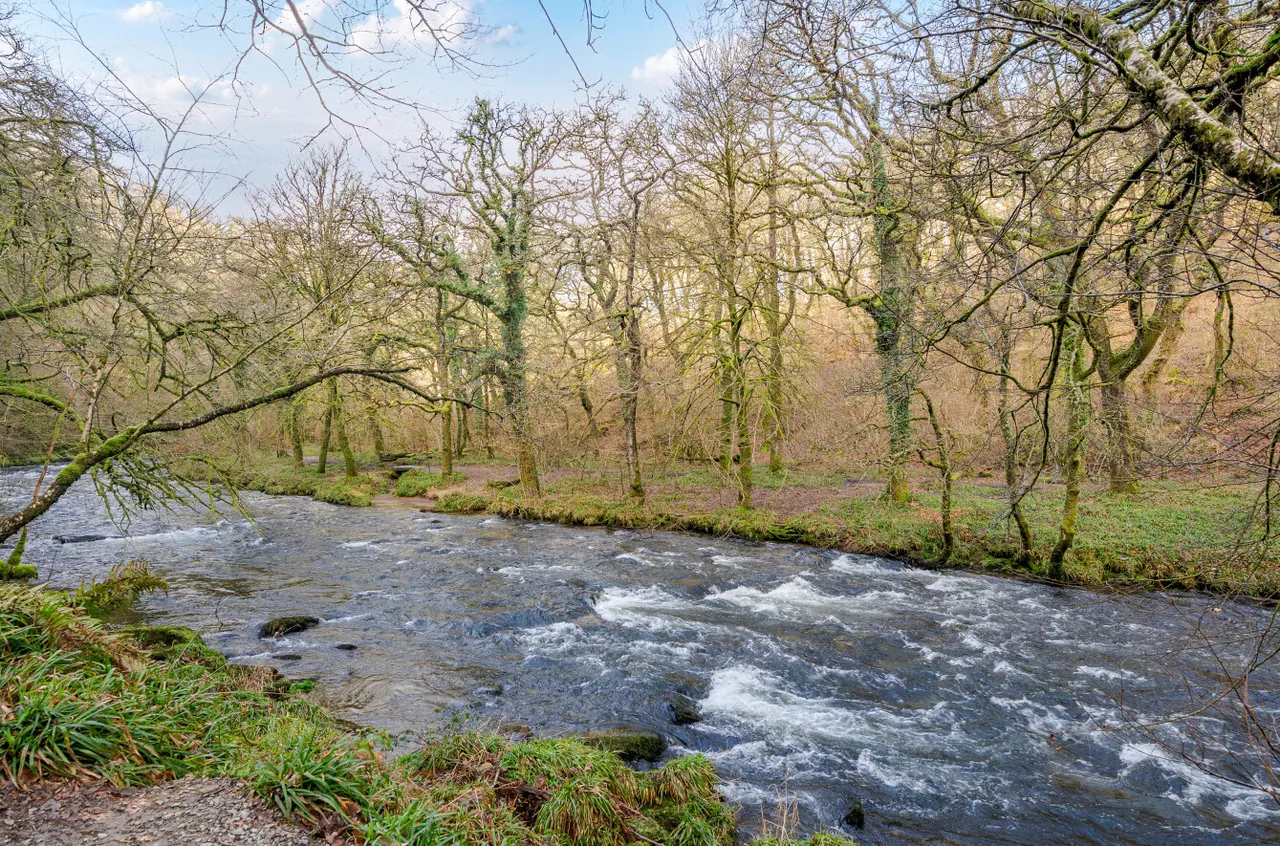 Dulverton, Somerset, photo 5