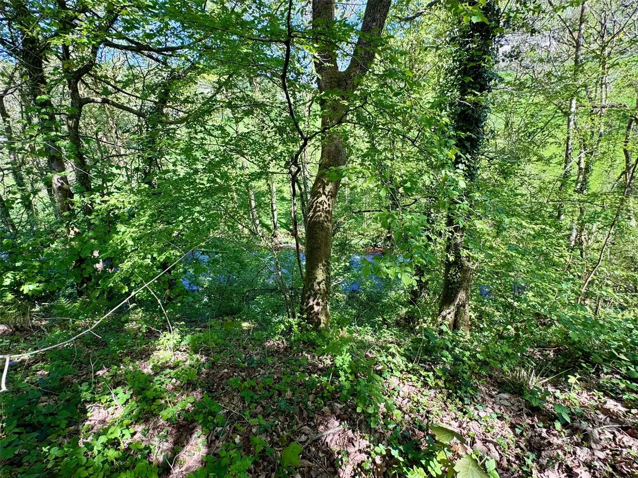 Halfway, Llandovery, Carmarthenshire, SA20 0SD, photo 16