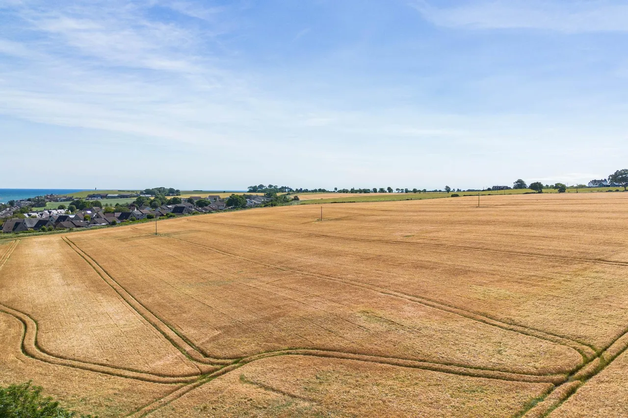 Rossie Braes, Montrose, DD10, photo 39