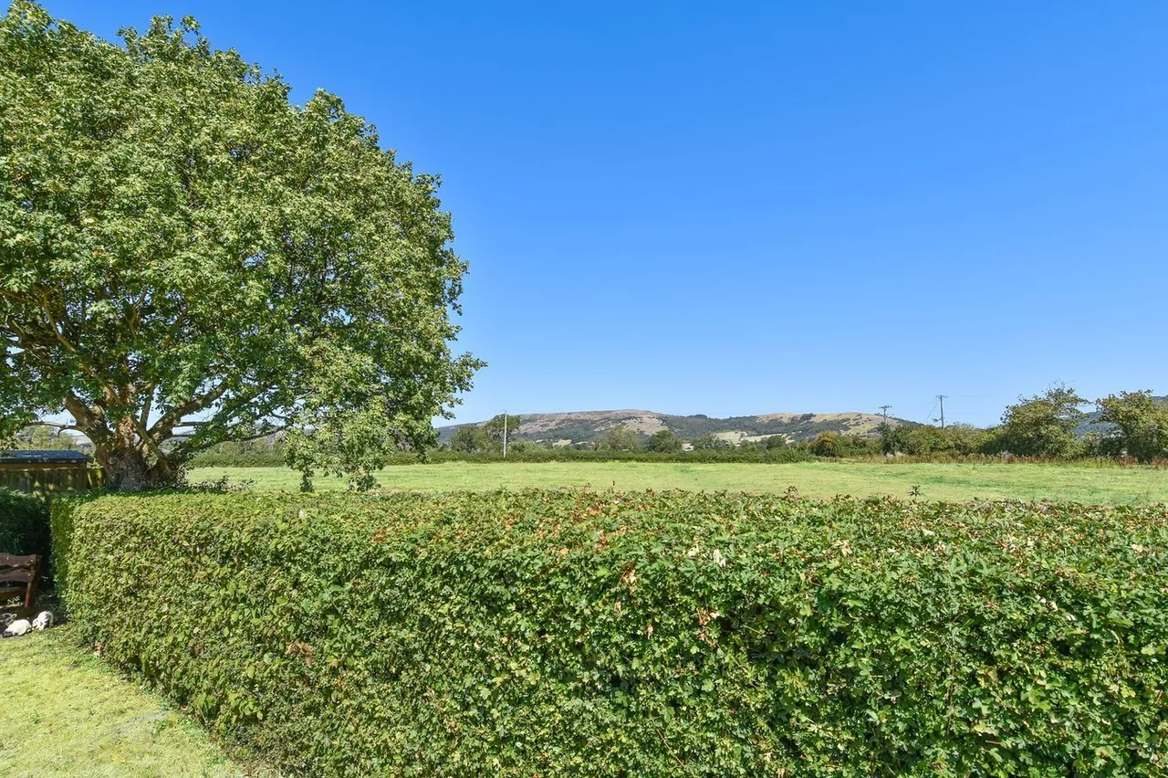 Pipers Close, Weare, BS26, photo 22