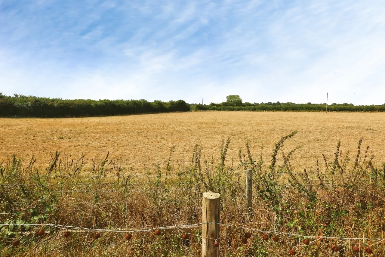 East Stratton, Winchester, SO21, photo 17