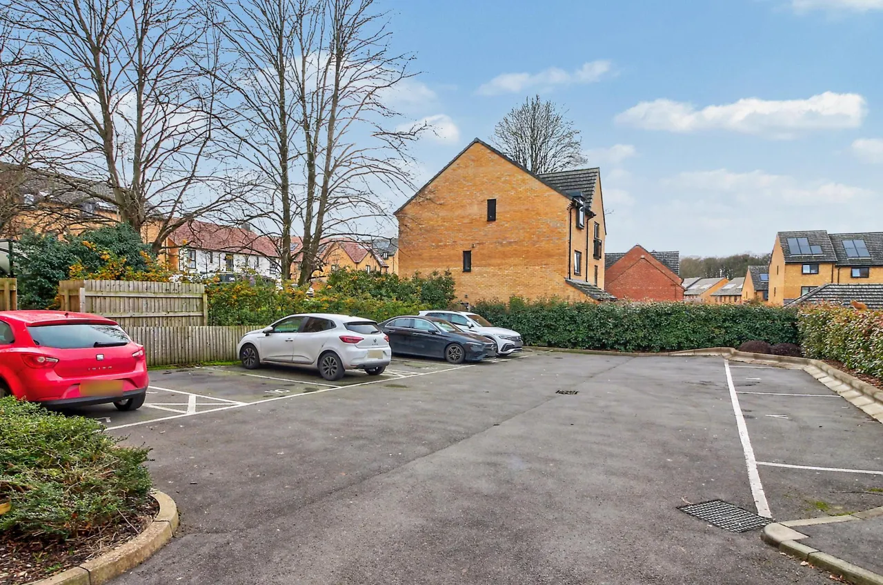 Condor Way, Basingstoke, RG24, photo 13