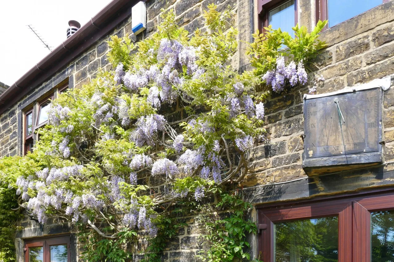 Town Street, Rawdon, LS19, photo 37