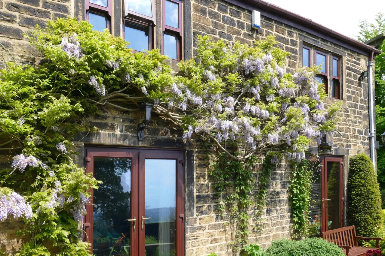 Town Street, Rawdon, LS19, photo 38