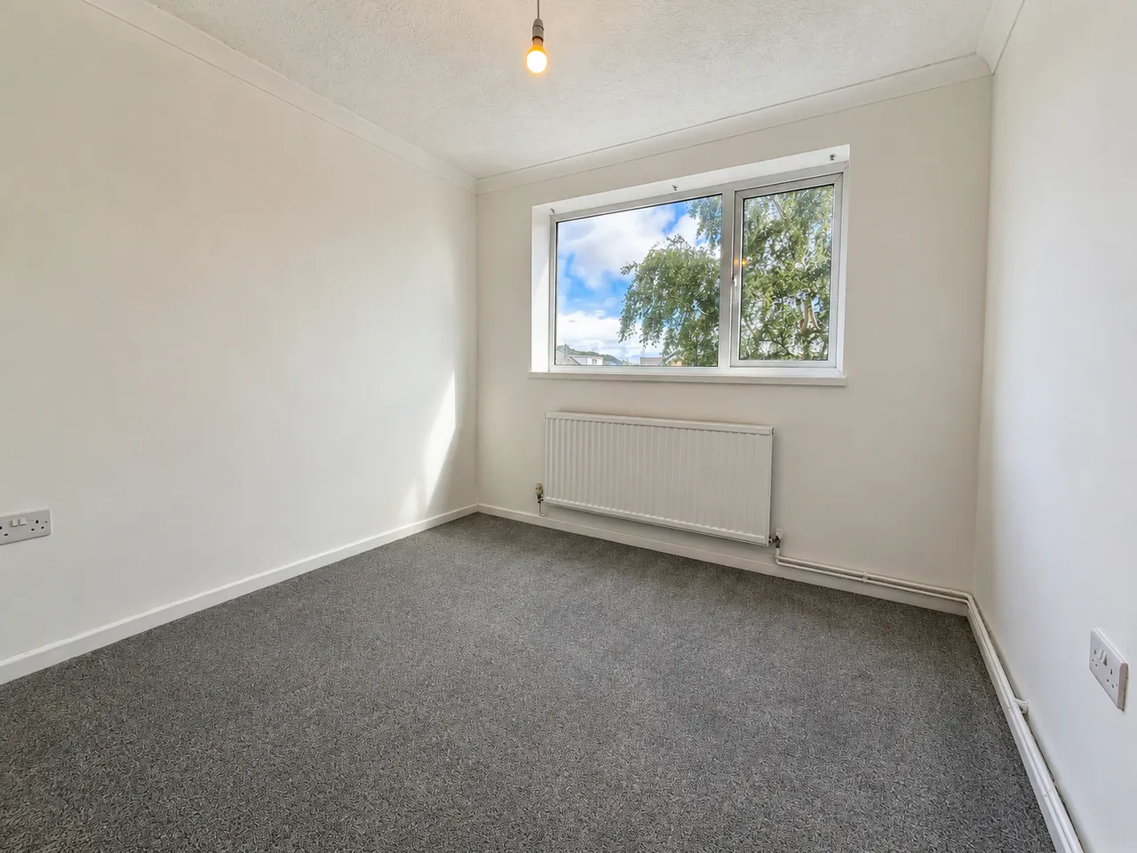 Pegler Street, Brynhyfryd, photo 19