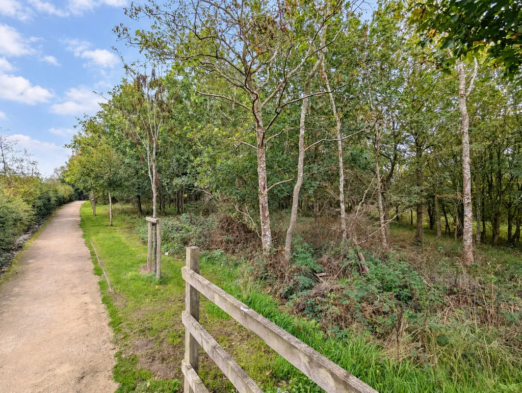 Pine Gardens, Norton Canes, WS11, photo 4