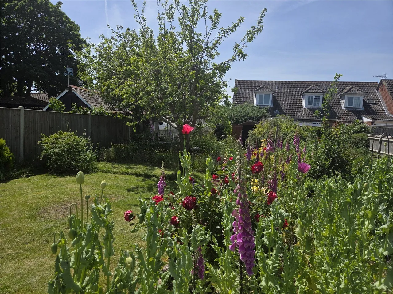 St. Leonards Avenue, Hayling Island, PO11, photo 19
