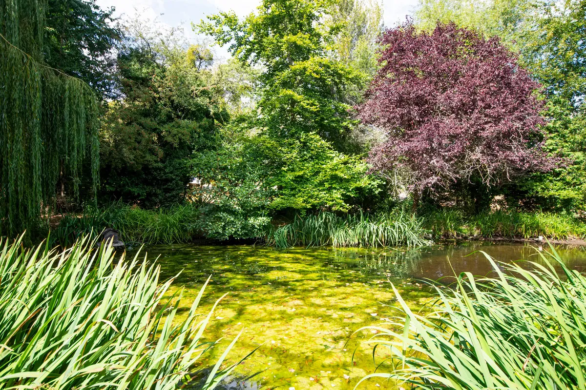 Home Farm Lane, Great Witley, WR6, photo 6