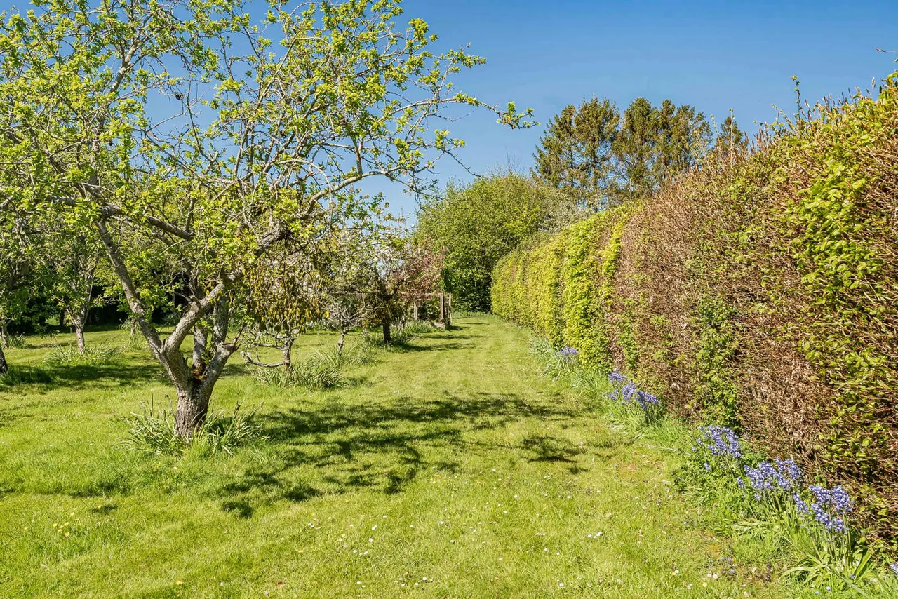 Gascoigne Lane, Ropley, SO24, photo 6