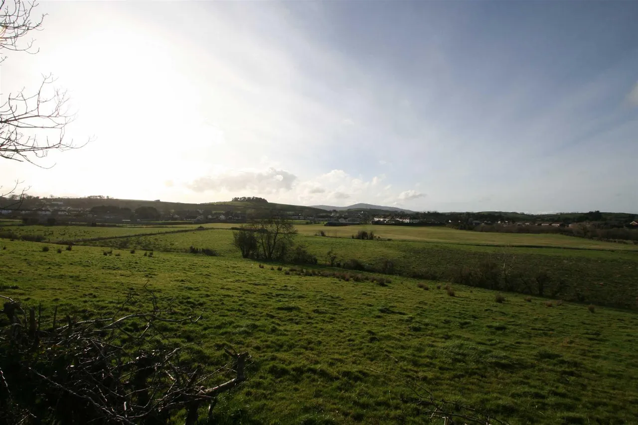 Crawfordstown Road, Drumaness, BT24, photo 4