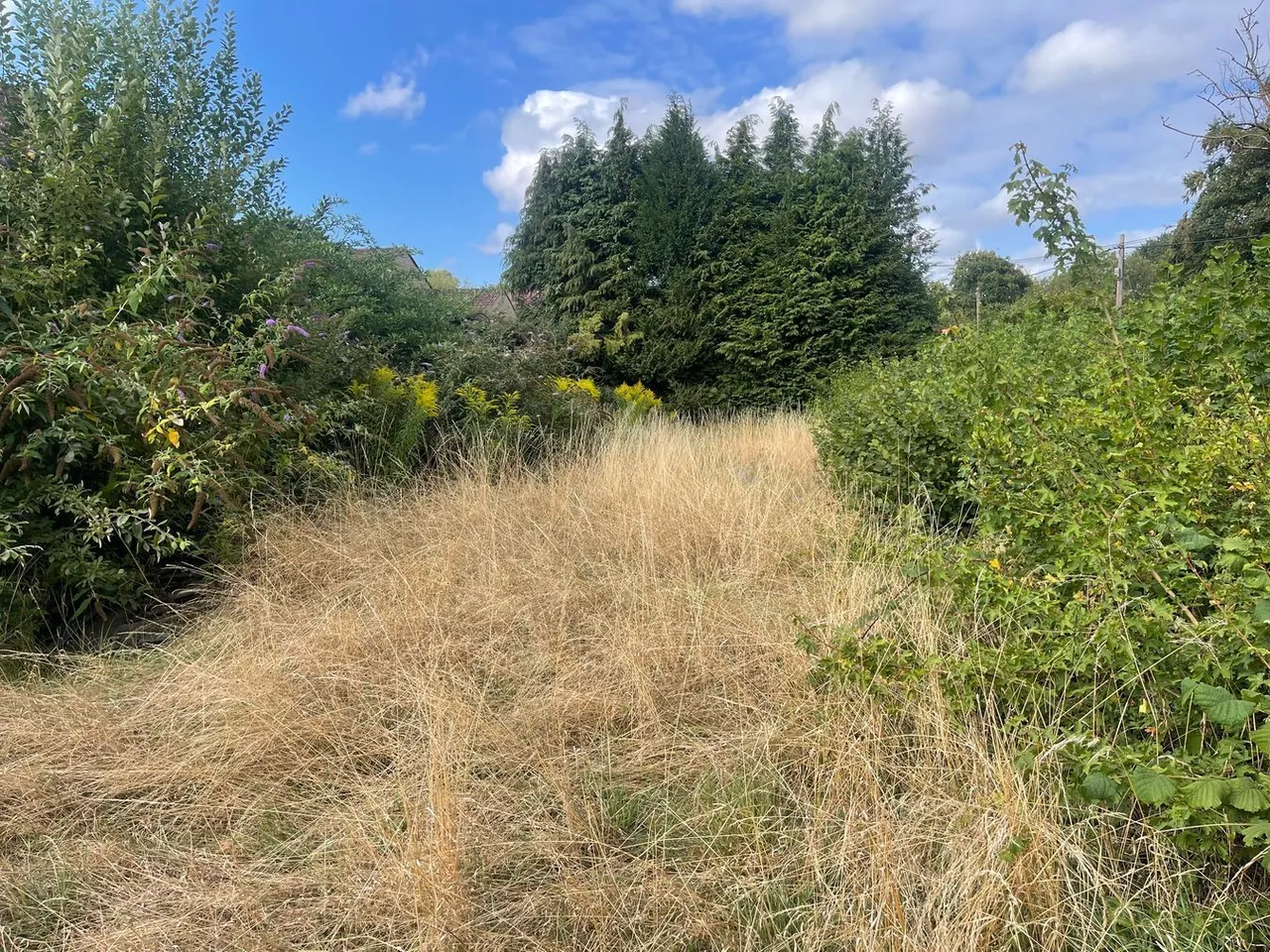 Top Lane, Mells, BA11, photo 4