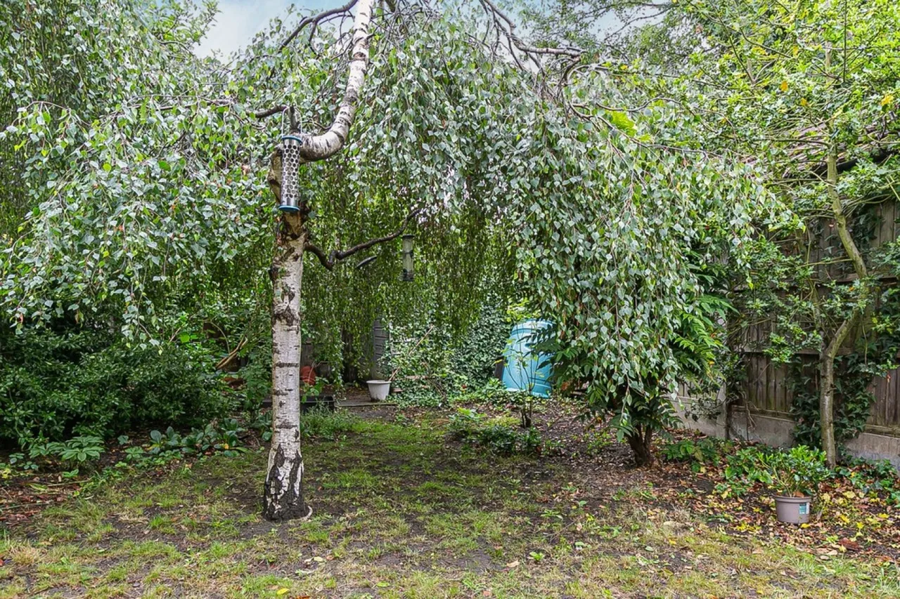 Clavering Road, Aldersbrook, photo 9