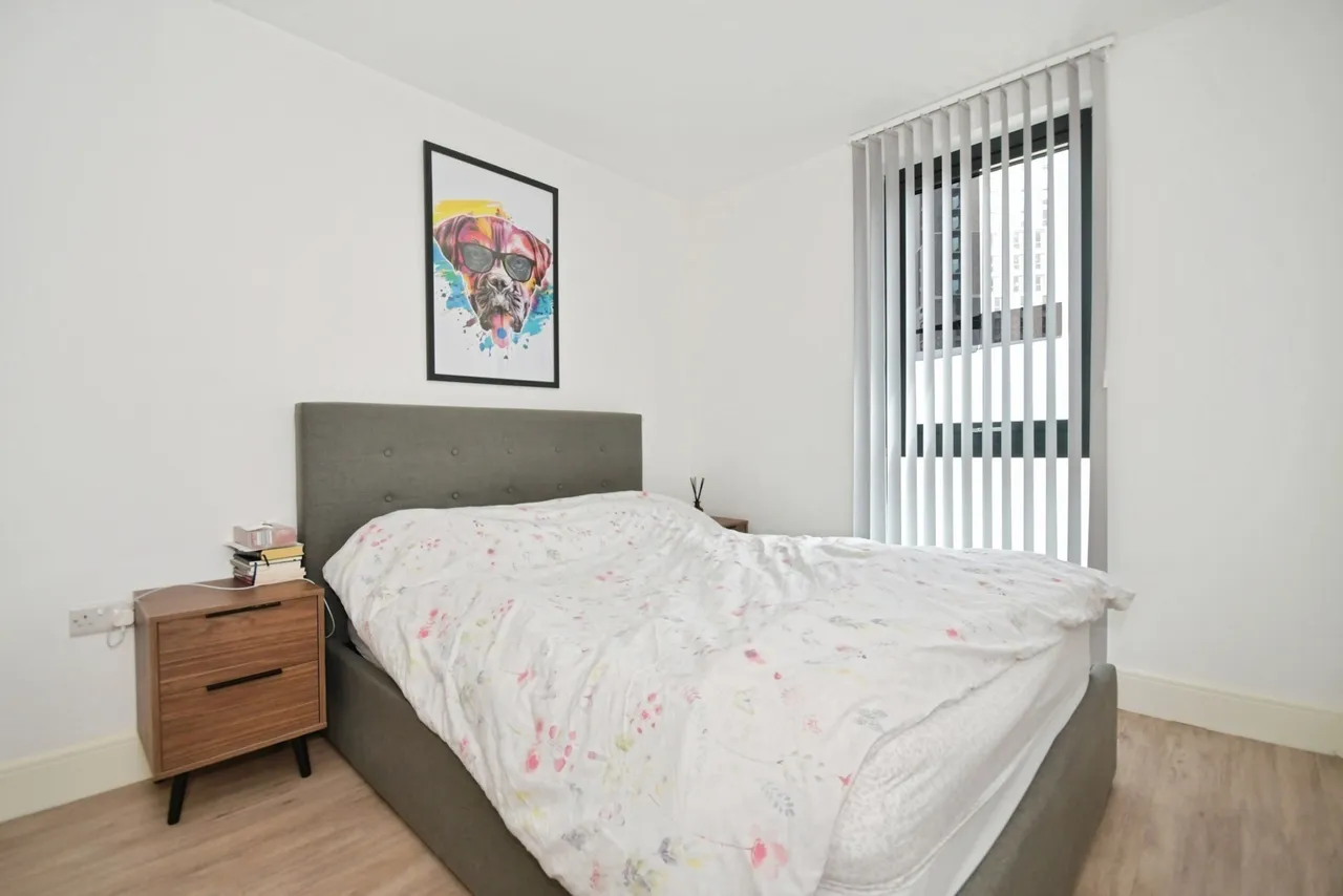 Cotton Street, Sheffield, S3, photo 5