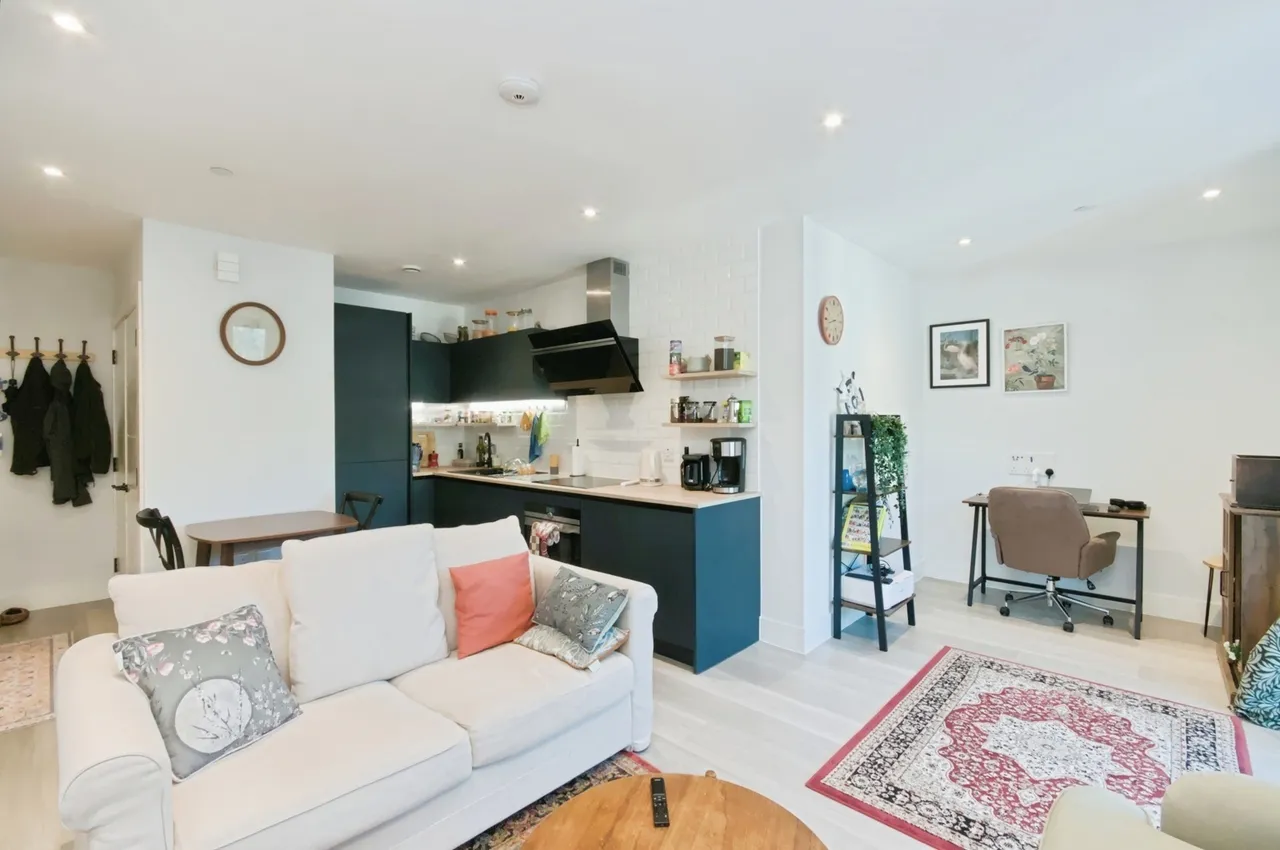 The Furlong, Brighton, BN2, photo 15