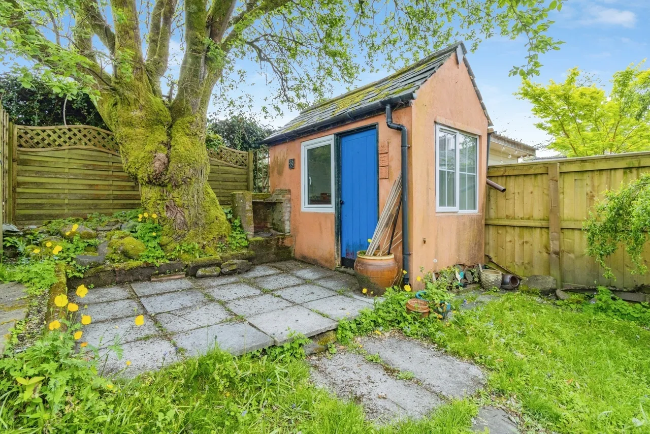 College Avenue, Tavistock, PL19, photo 14