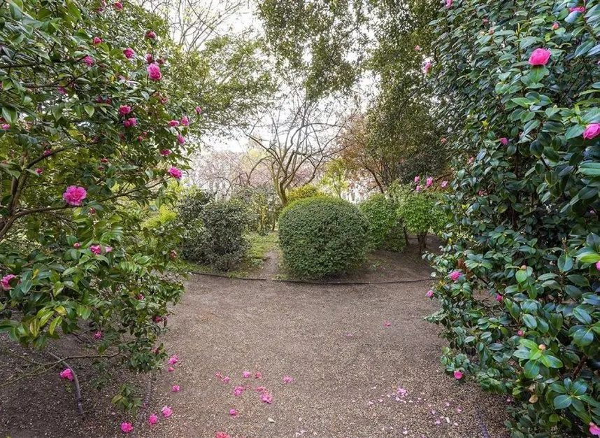 Queen's Gate Gardens, South Kensington, SW7, photo 7