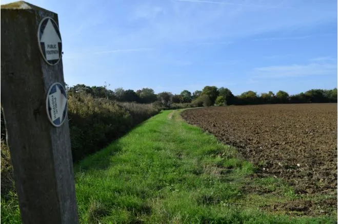 Post Drive, Stowupland, IP14, photo 37