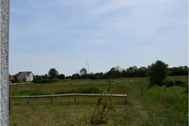 Post Drive, Stowupland, IP14, photo 46