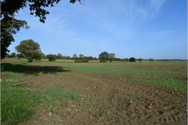 Post Drive, Stowupland, IP14, photo 39