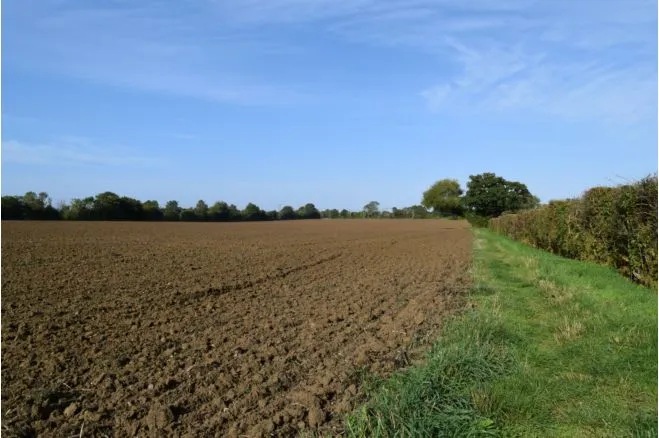 Post Drive, Stowupland, IP14, photo 38