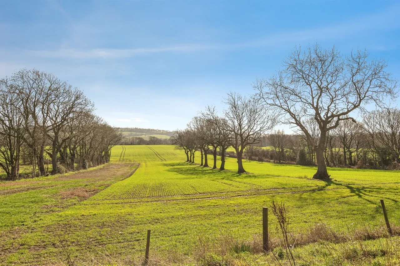 New Lane, Skelmanthorpe, HD8, photo 2