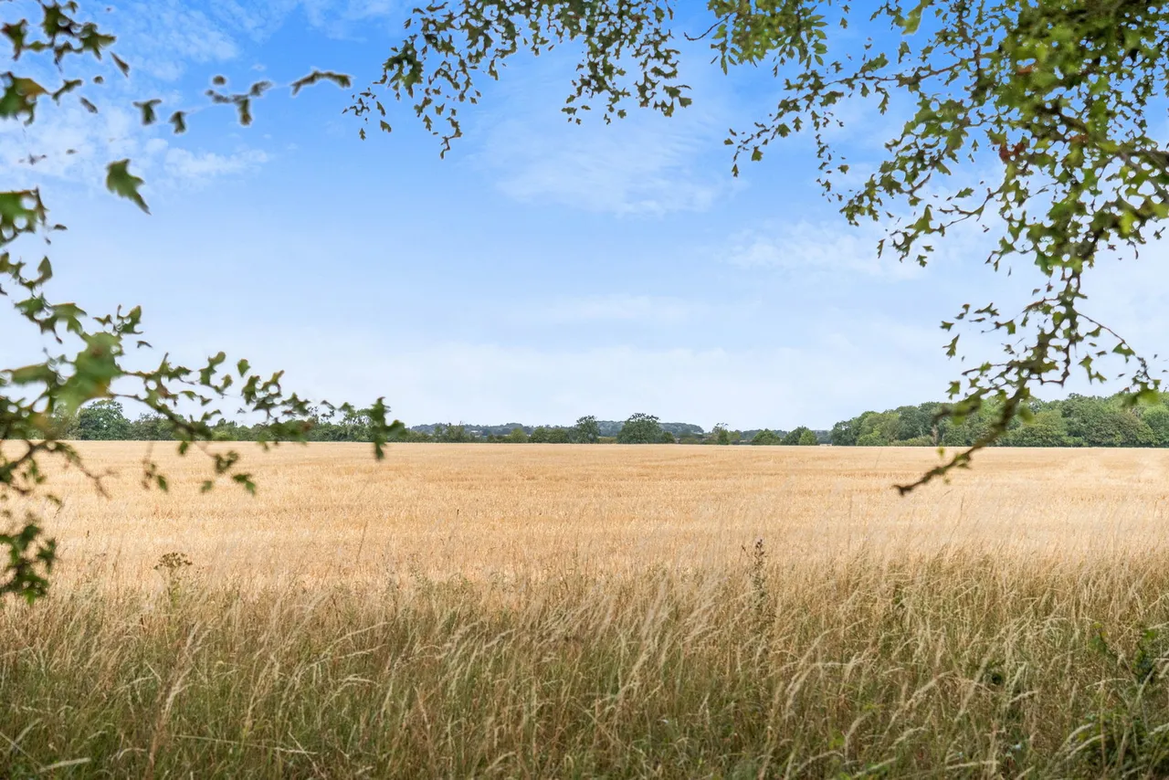 Old Hall Green, Nr Ware, photo 58