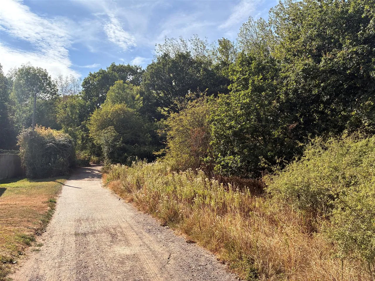 Little Bookham Common, Little Bookham, KT23, photo 2